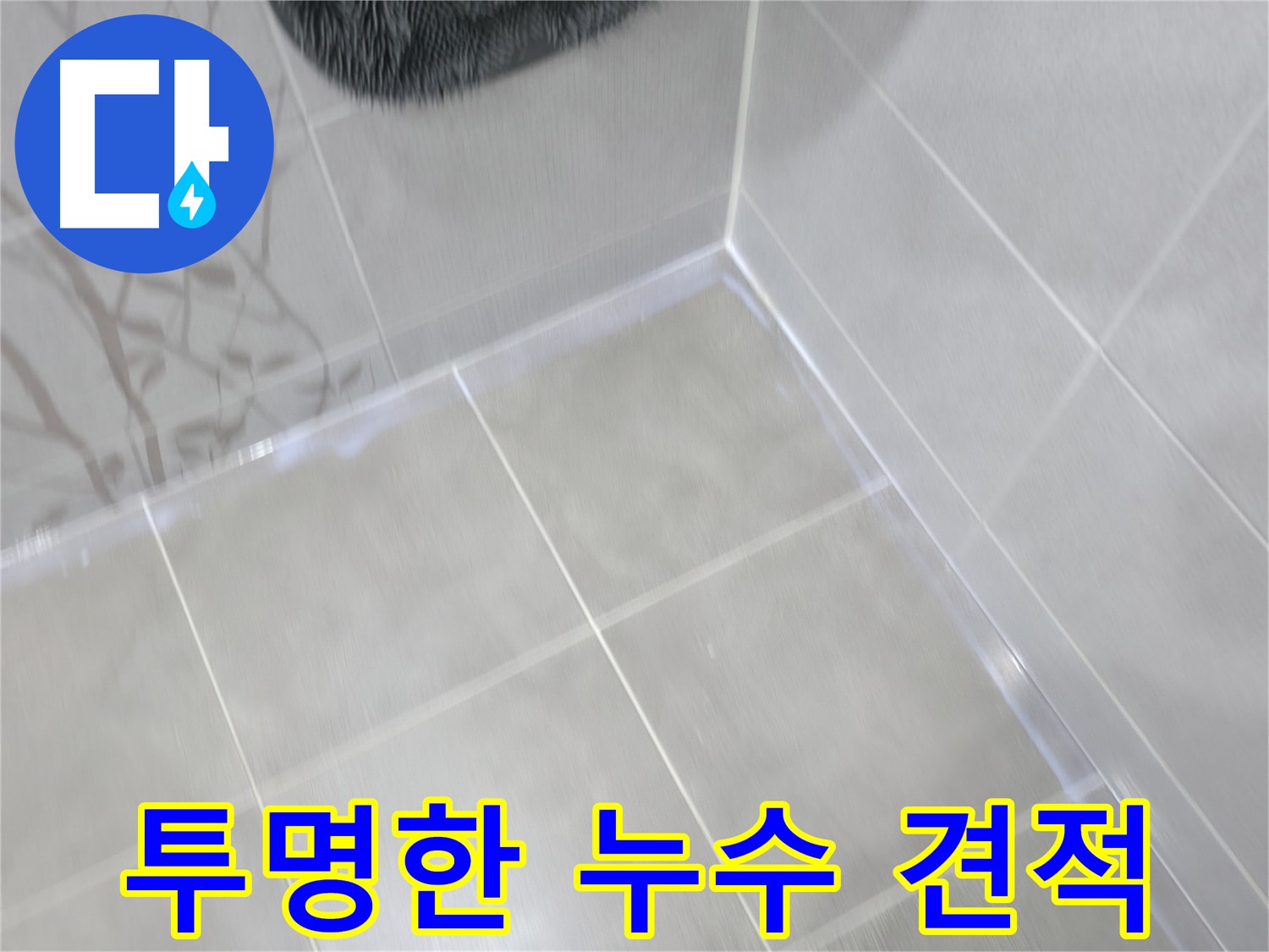 마포구 중동 건영 월드컵 아파트 투명한 누수 견적 - 합리적인 가격으로 누수 해결