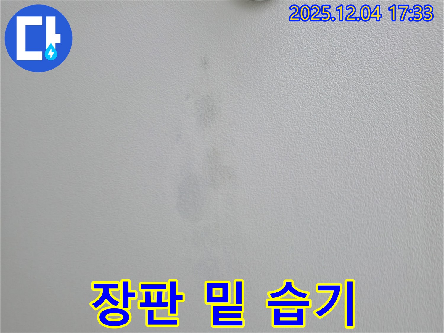 의왕시 오전동 누수 - 장판 밑 습기 및 곰팡이 발생, 누수 의심 상황