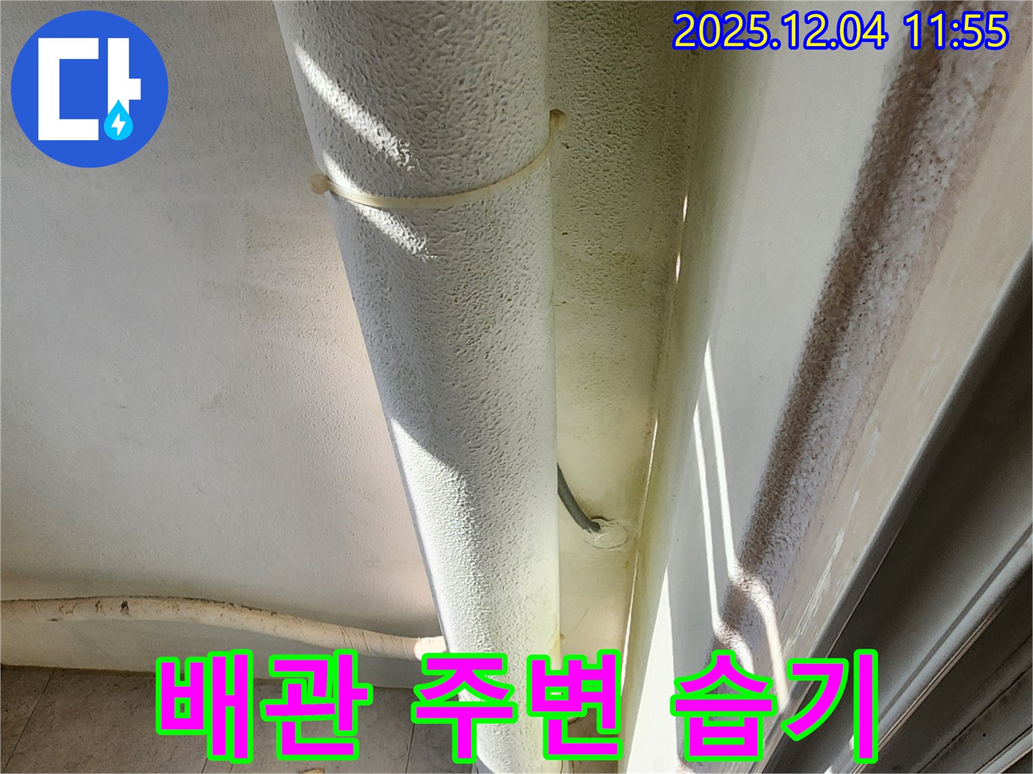 일동면 기산리 누수 현장에서 배관 주변 습기를 확인하고 있습니다 - 누수 초기 증상을 놓치지 마세요.