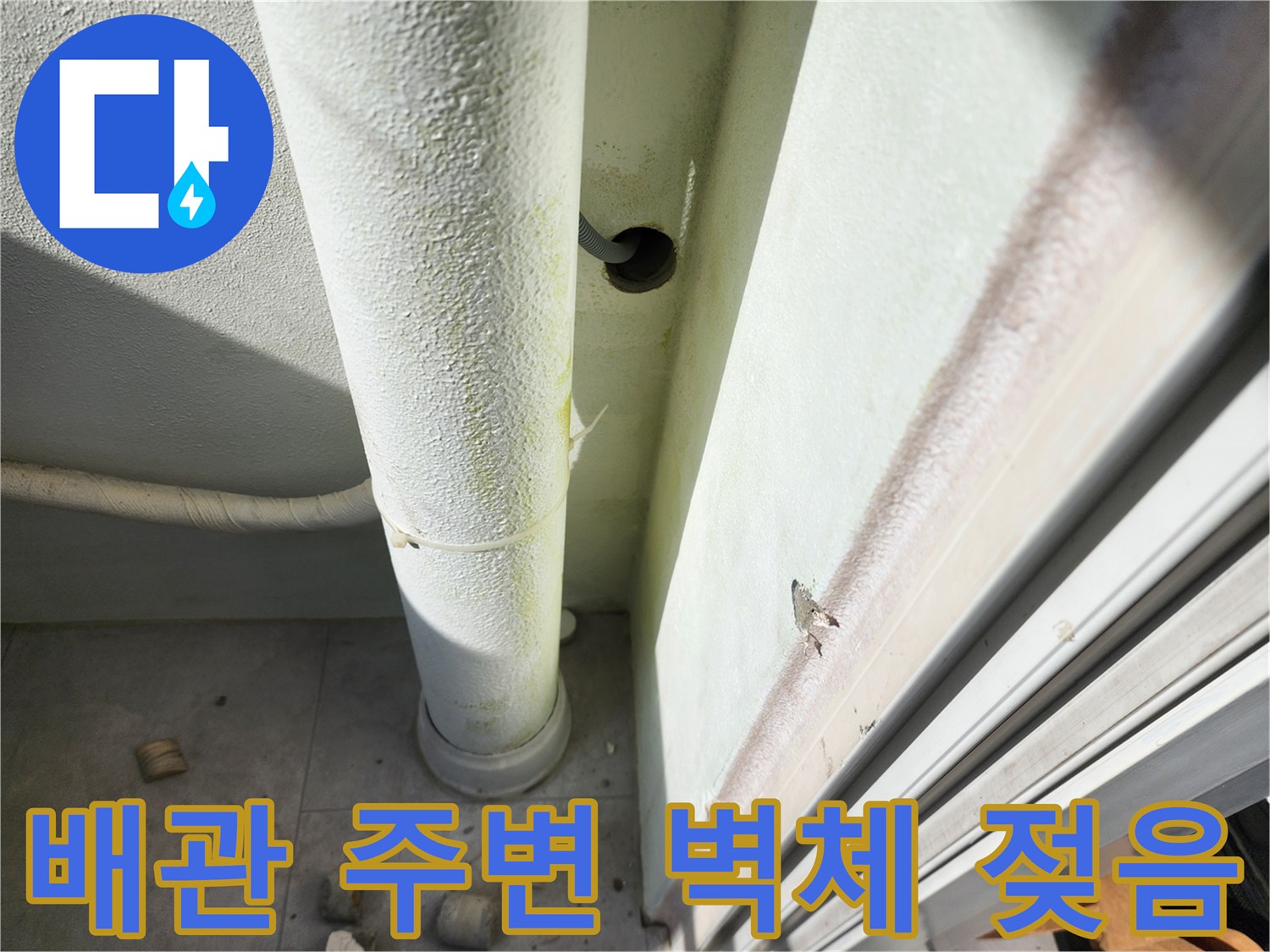 일동면-베란다-하수관-주변-누수-현장