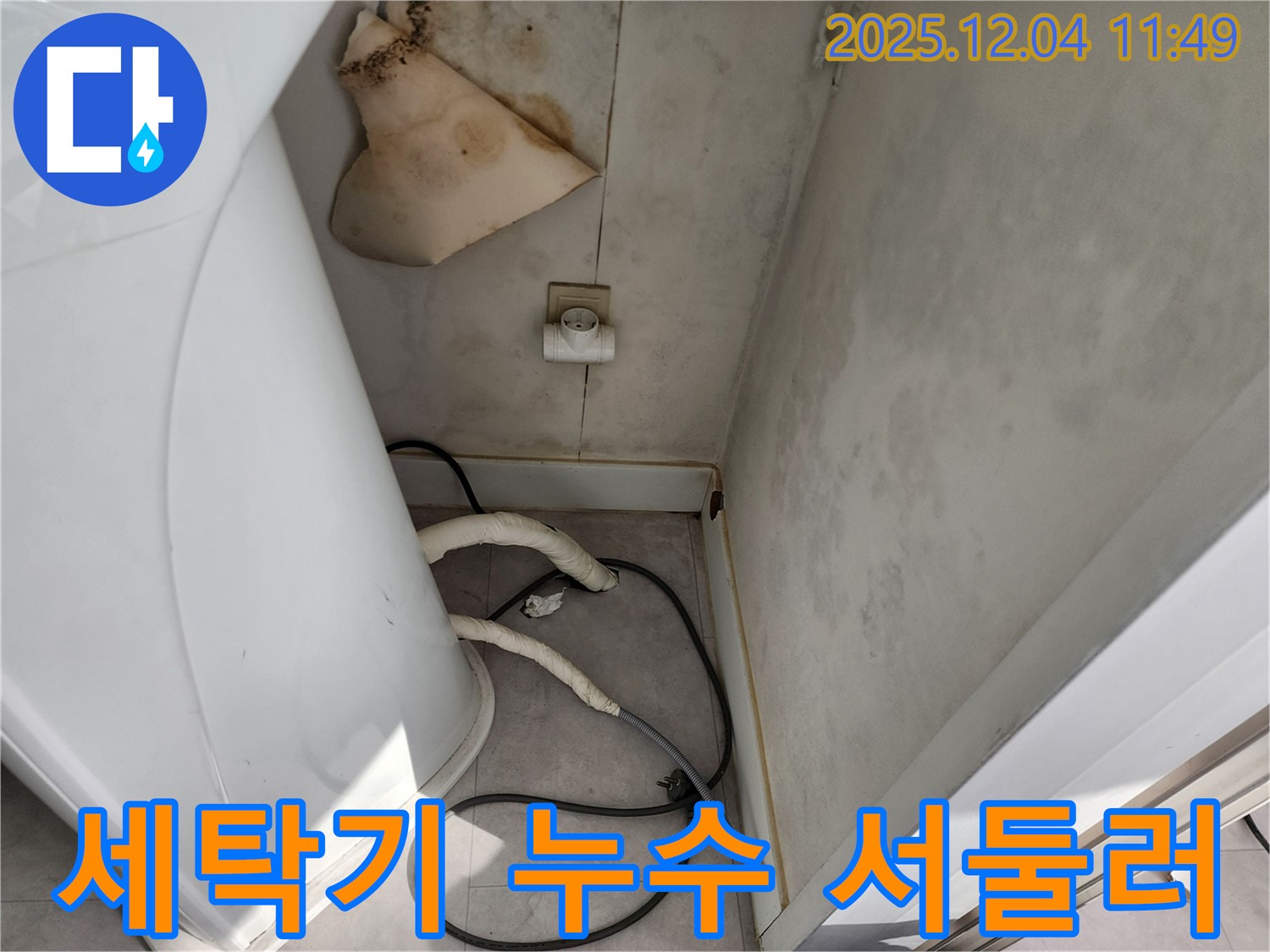 포천 - 세탁기 젖은 벽, 콘센트 주변 곰팡이 - 감전사고 위험, 안전 점검 서두르세요