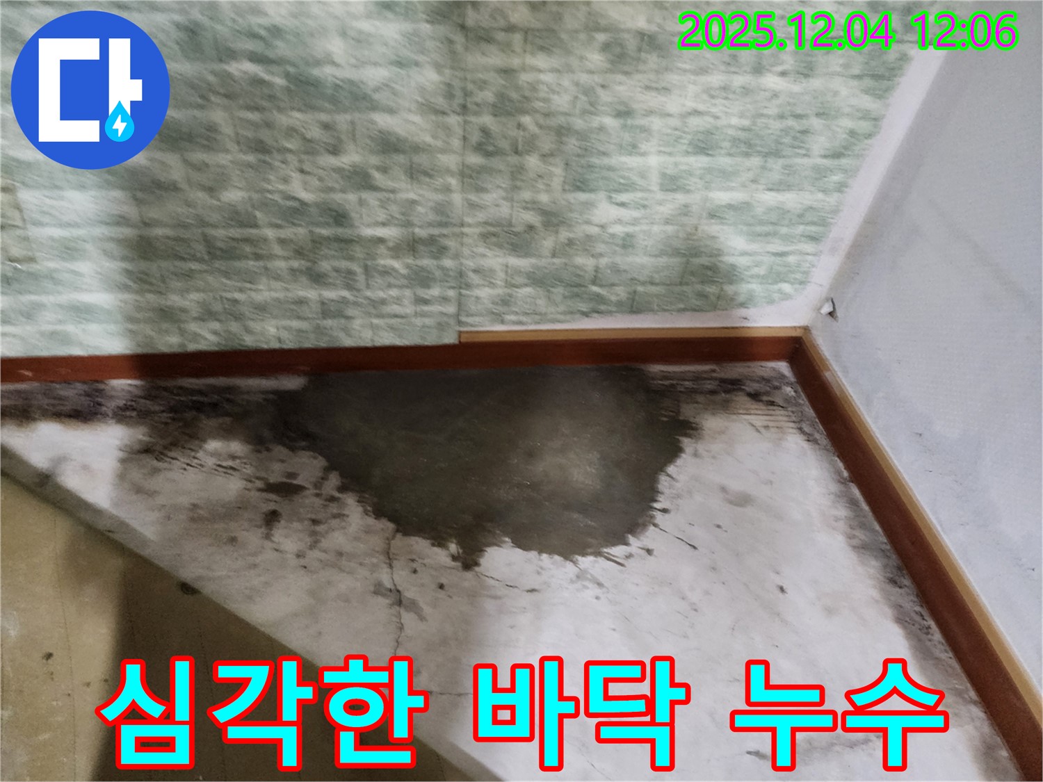 포천시 일동면 기산리 주택의 심각한 바닥 누수 상황 - 전문적인 누수탐지 및 공사 필요