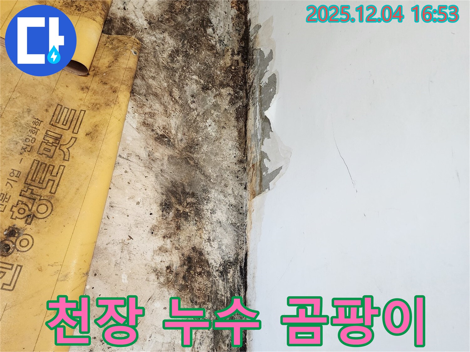 천장 누수와 곰팡이 - 완벽한 해결 후 고객 만족