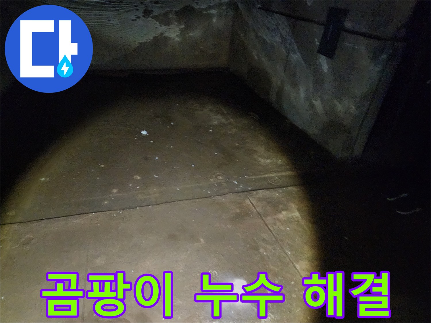 노원구 월계동 삼호아파트 지하 누수 - 곰팡이 문제 해결을 위한 누수 공사 현장입니다.