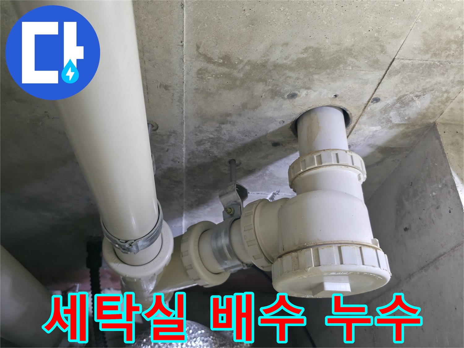 향남 에일린의뜰 아파트 세탁실 배수관 누수 - 누수 해결 전문가