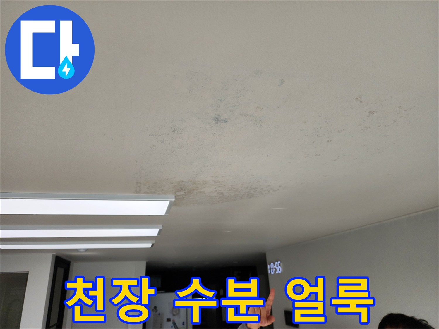 거실 천장에 나타난 짙은 색의 습기 흔적과 변색 부위