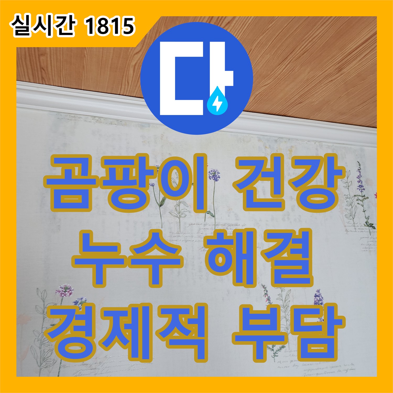 건강까지 생각하는 누수 해결! 포천시 누수업체 누수업체
