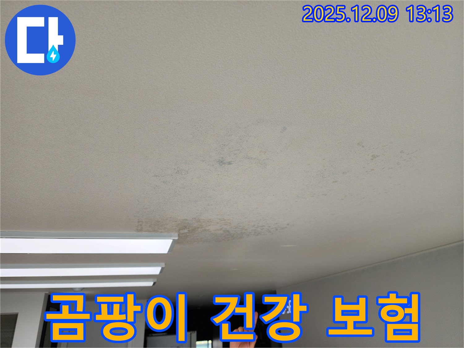 경기도 포천시 영중면 성동리 - 곰팡이, 건강 보험 적용 가능한 천장 누수