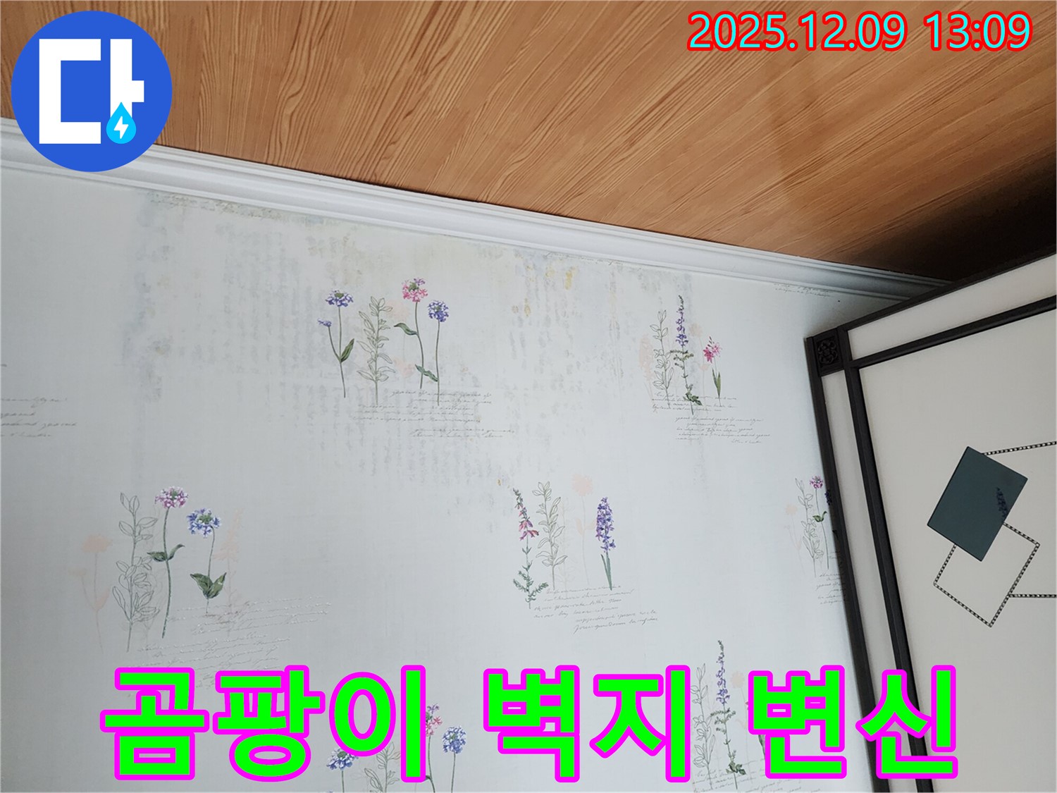 곰팡이 핀 벽지 - 누수 해결 후 완벽하게 복원하여 새집같은 공간으로 변신시켜 드립니다.