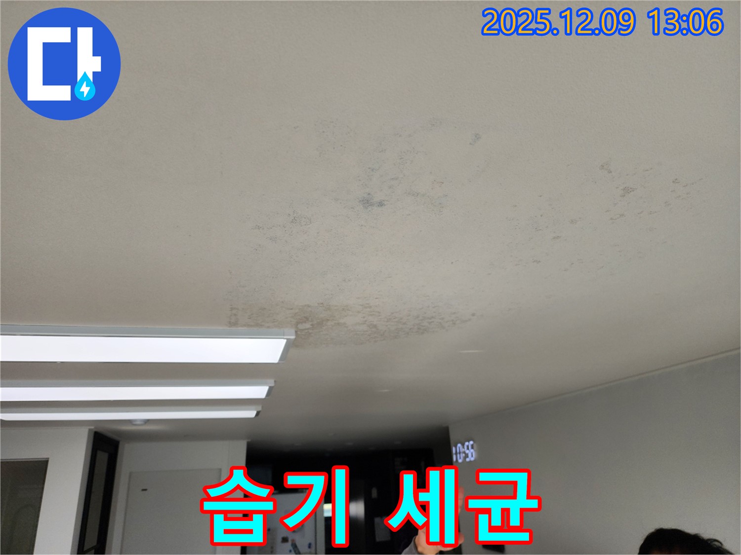 습기 세균 - 성동리 누수 현장에서 습기 가득한 천장으로 인한 세균 번식 위험을 경고합니다.