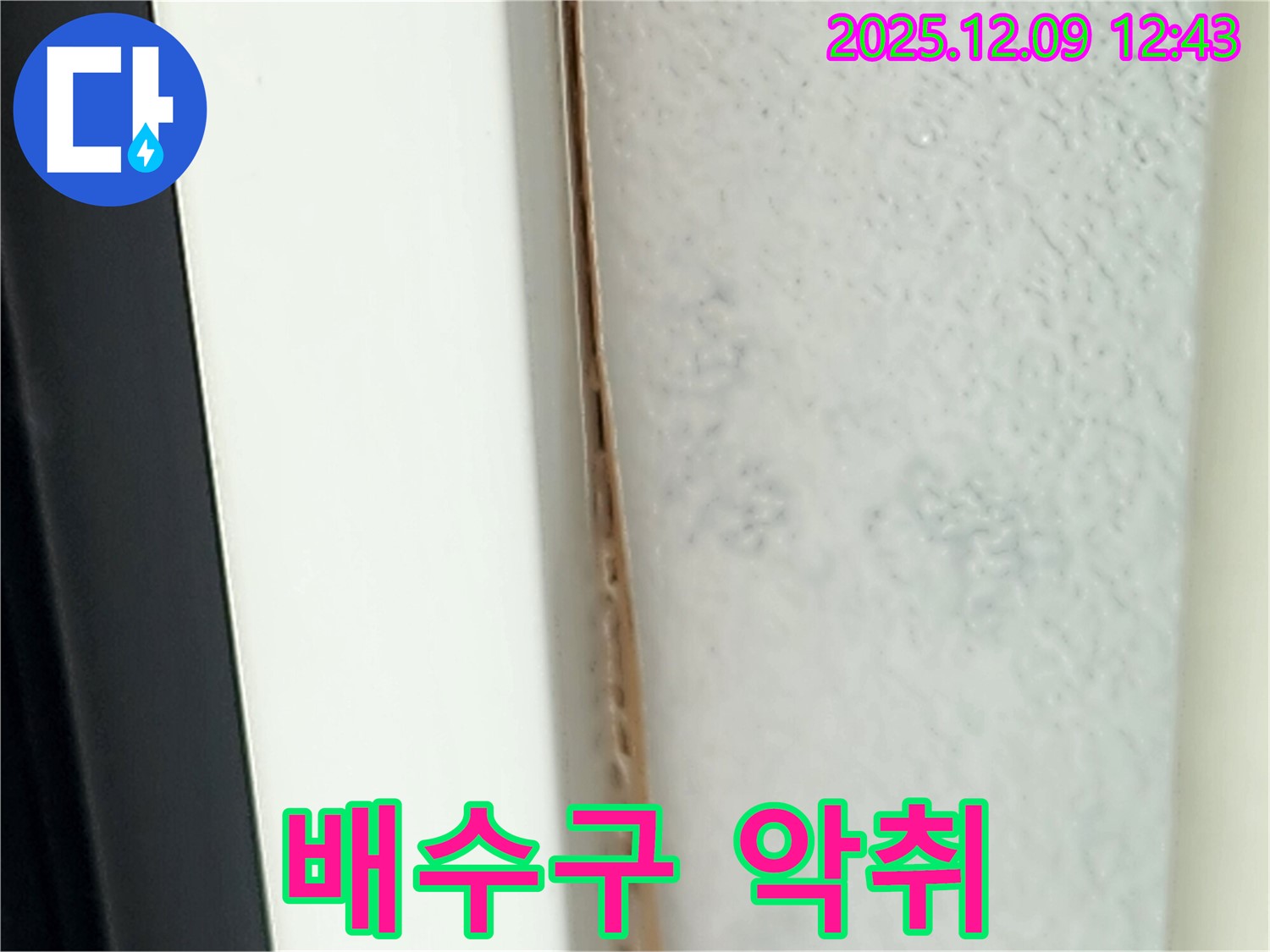 싱크대 배수구 악취 - 누수와 관련 있을 수 있습니다.