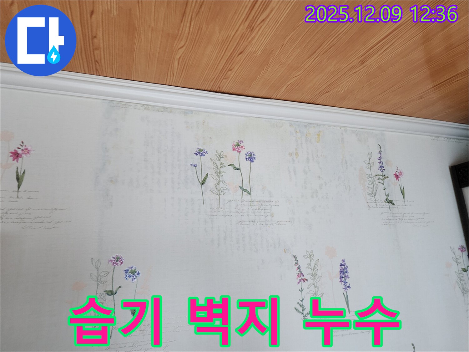 영중면 성동리 누수 문제 해결 - 습기 먹은 벽지의 누수 원인을 정확하게 파악하고 해결하는 누수 공사