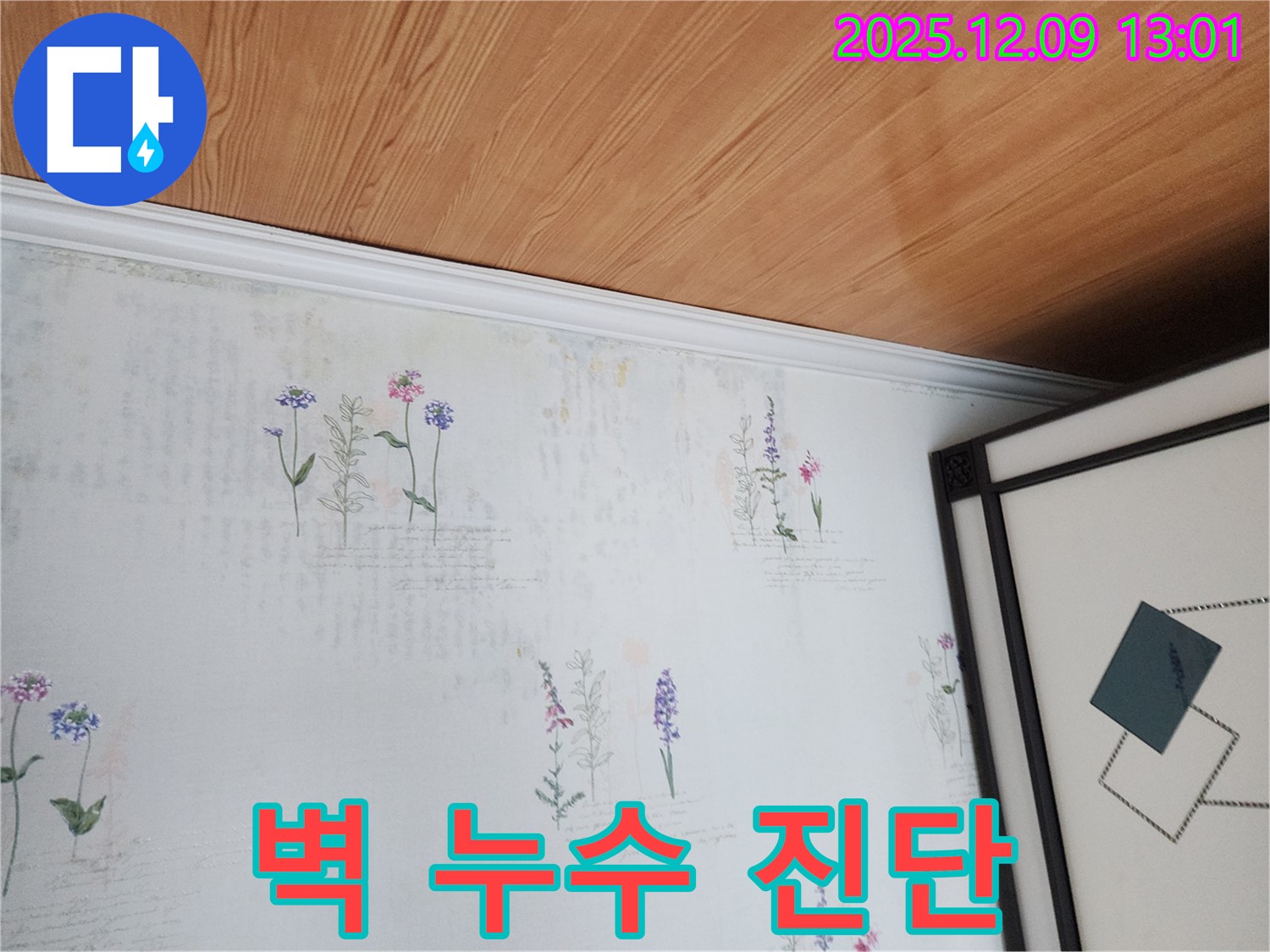영중면 성동리 누수 현장 - 곰팡이 발생 전 벽 누수 진단 과정