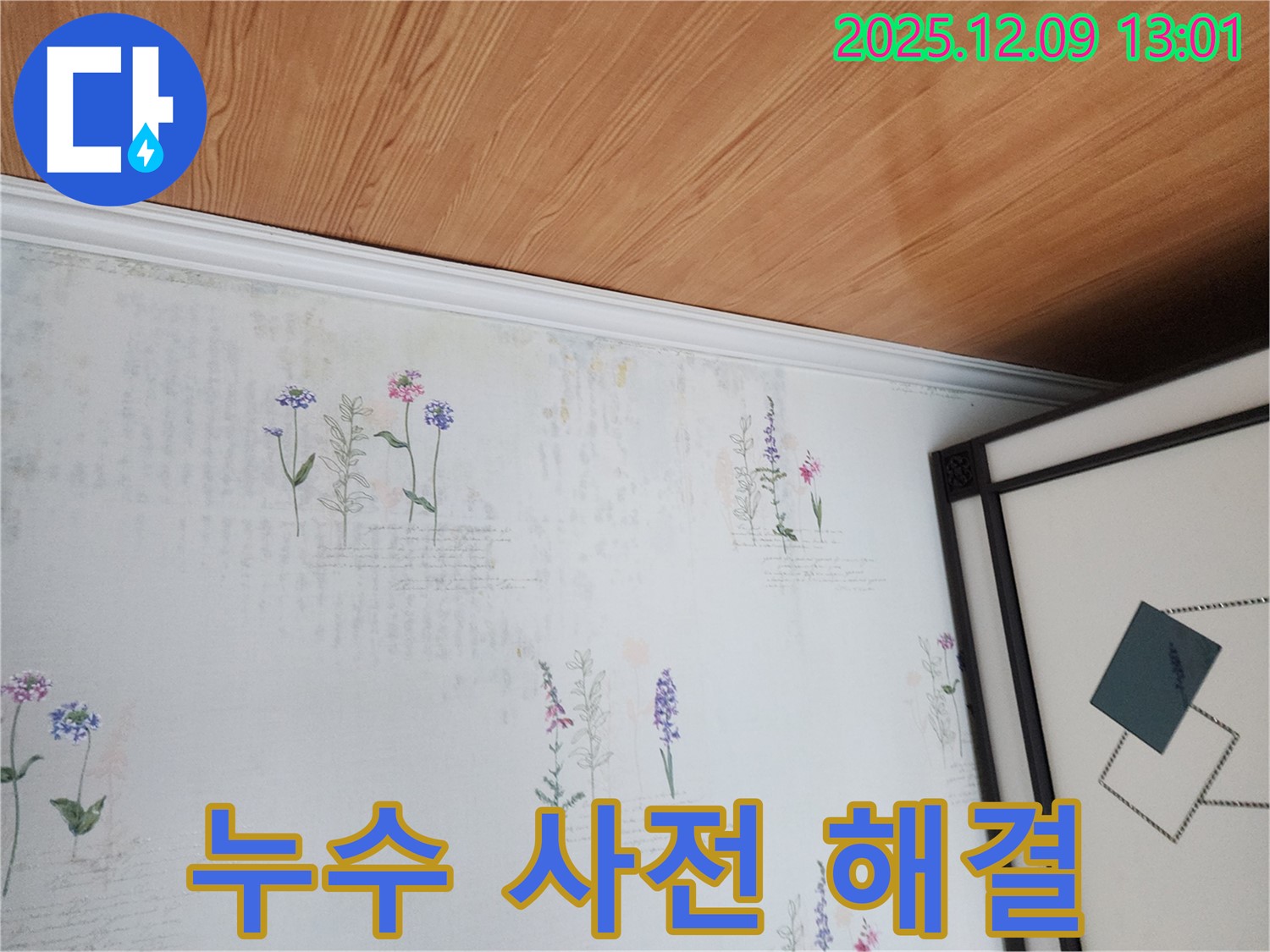영중면 성동리 누수 현장 - 곰팡이 사전 진단 및 완벽 해결