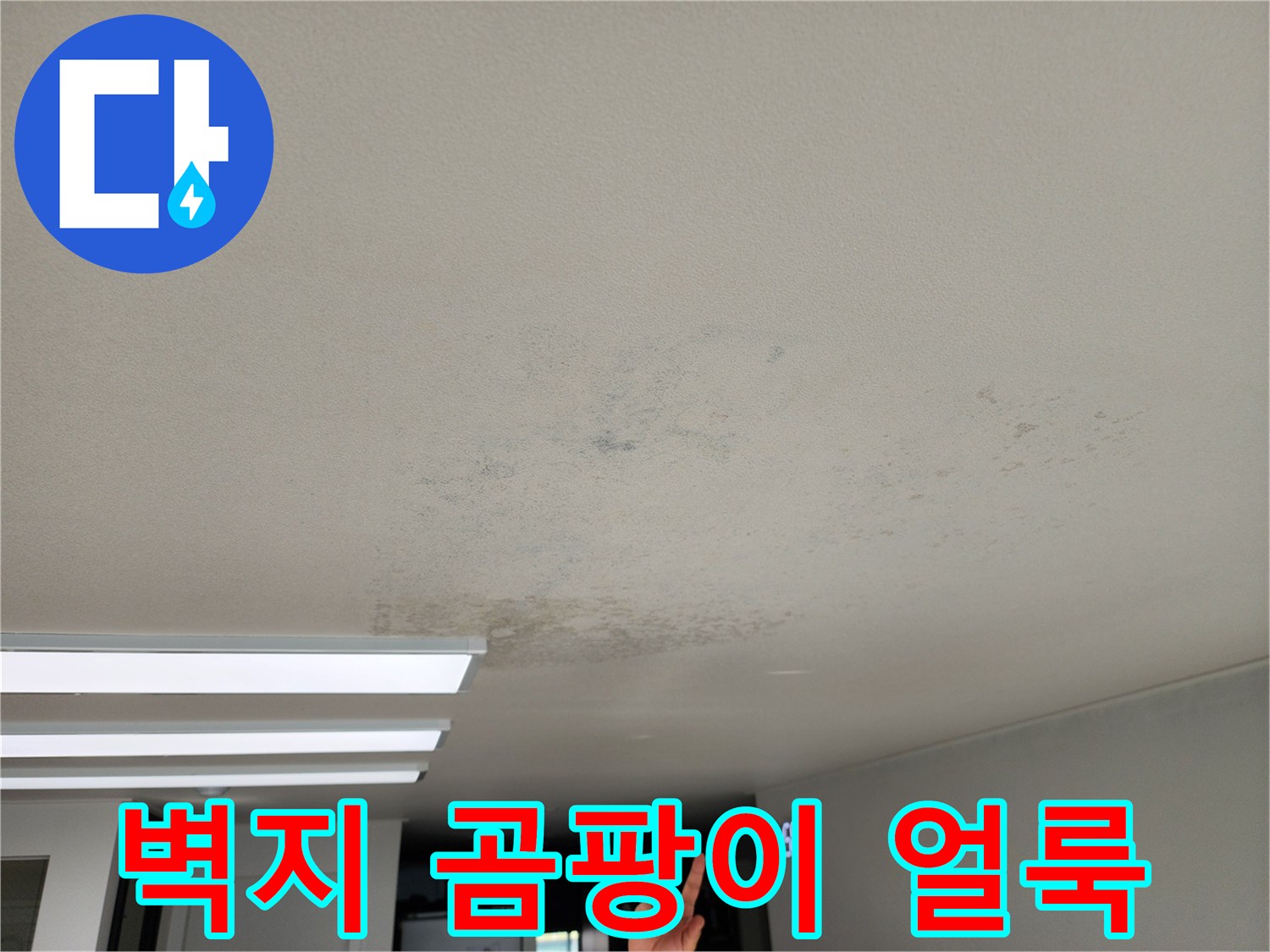 천장 벽면을 따라 번져있는 누수 흔적과 곰팡이 발생 부위