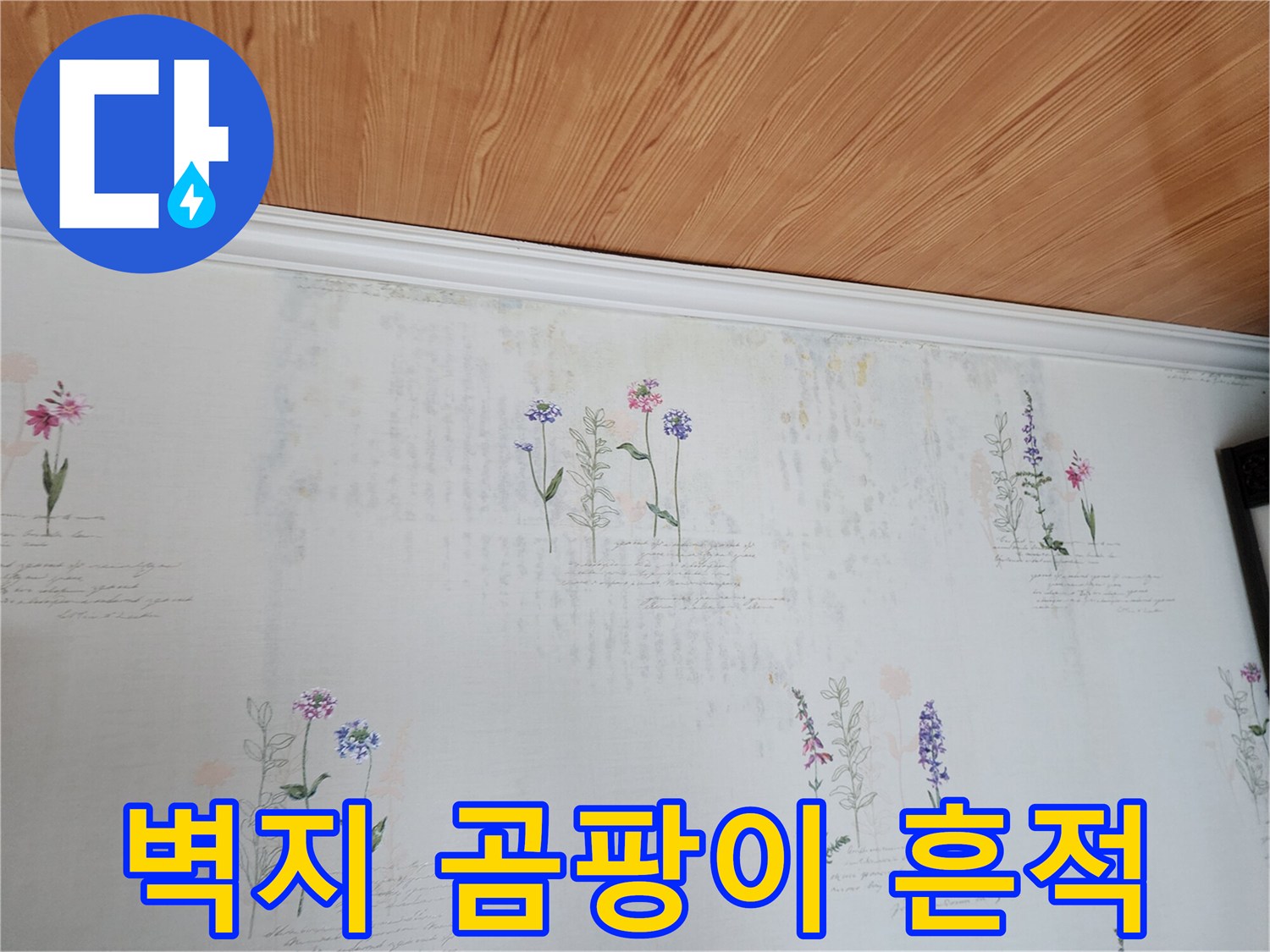 천장 벽지 곳곳에 나타난 습기로 인한 얼룩 현상