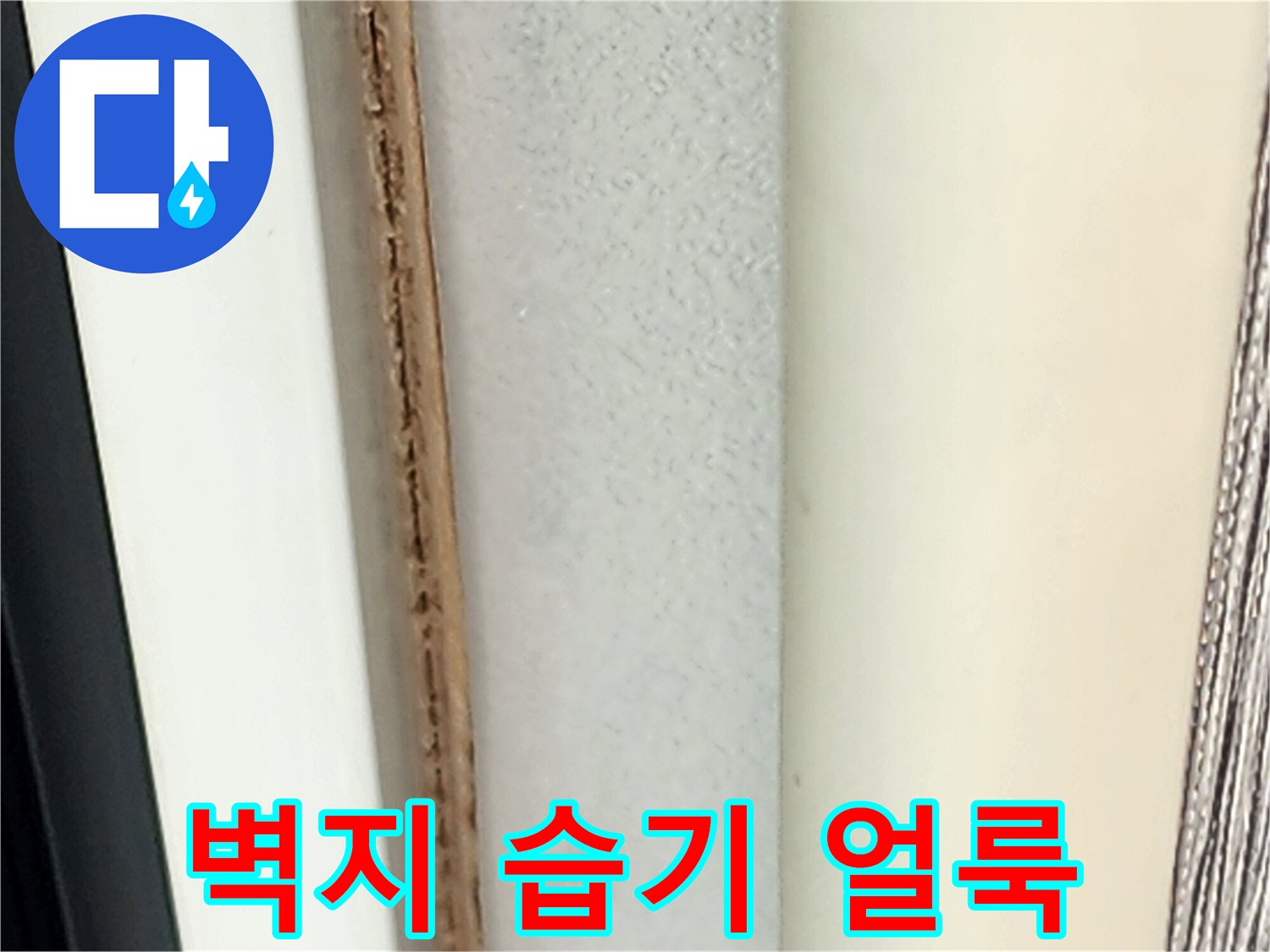 천장 부근의 젖은 듯한 벽지 변색 상태
