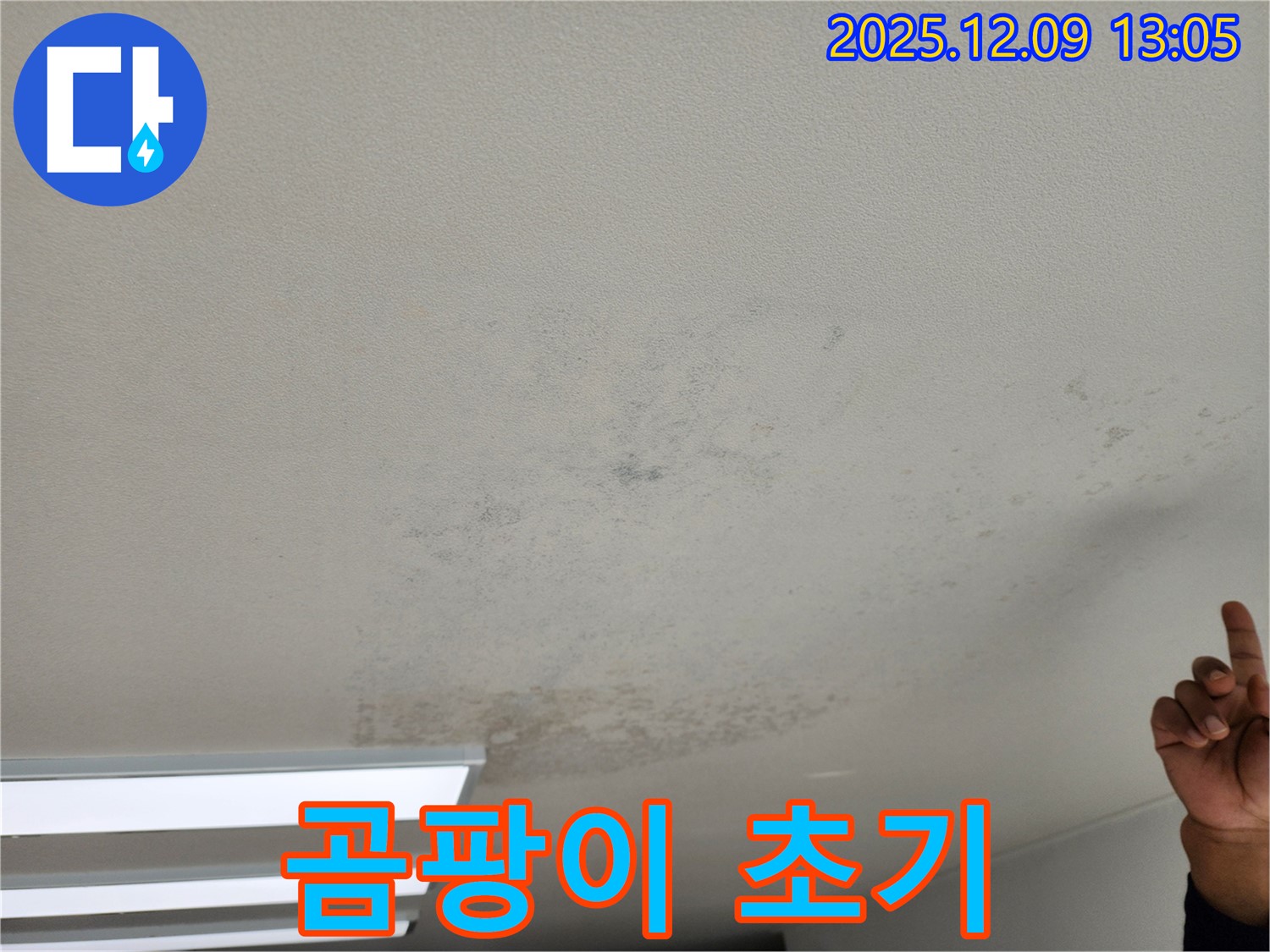 포천 성동리 천장 누수 - 곰팡이 초기 증상, 포천 누수 전문가와 상담하세요.