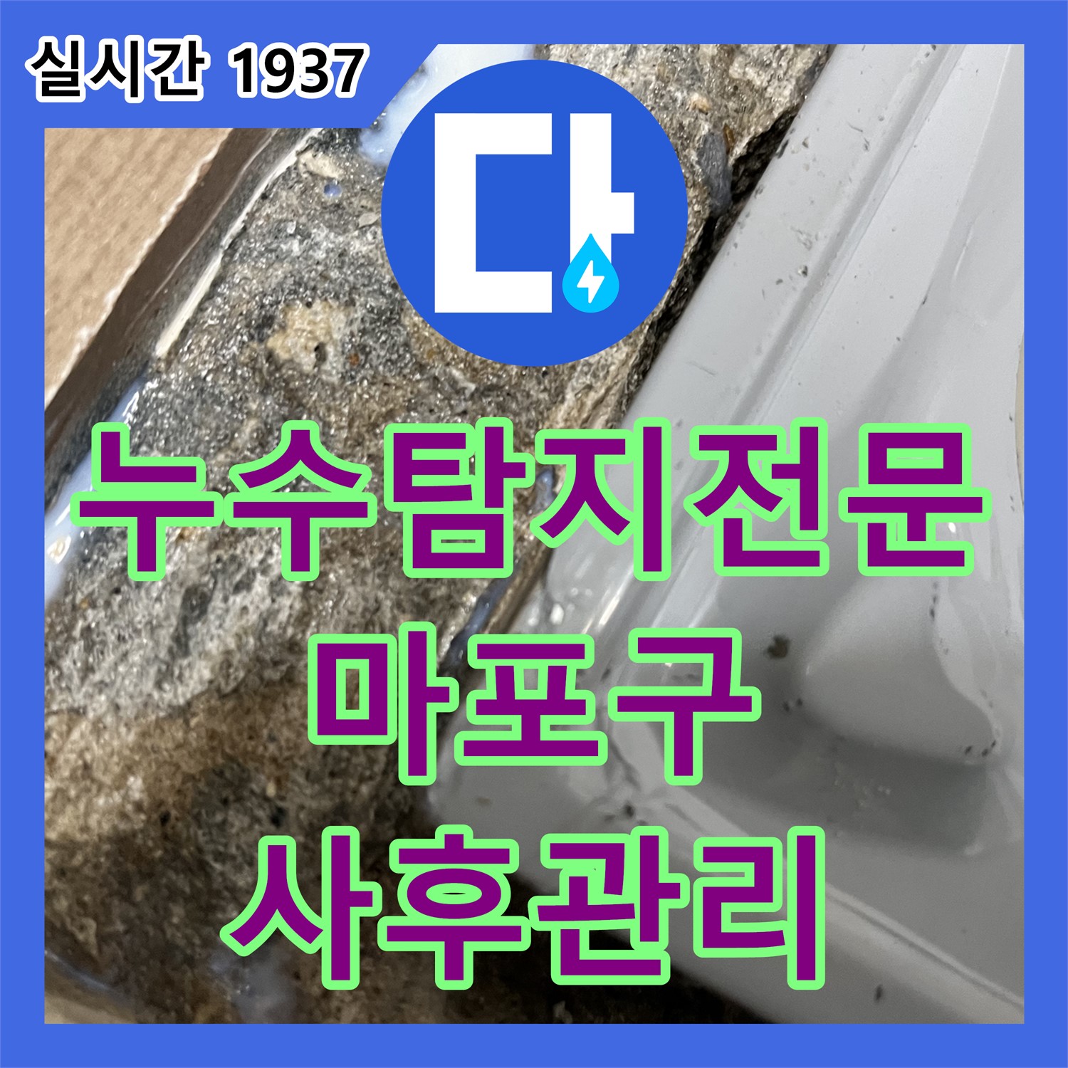 마포 누수탐지전문업체, 곰팡이 제거 후, 꼼꼼 사후 관리로 재발 방지