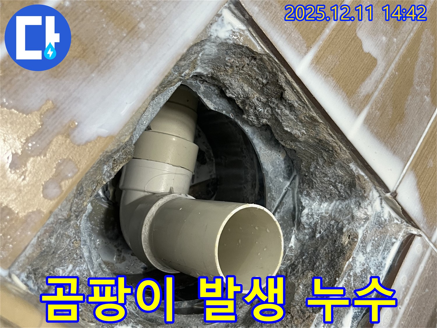 마포구 아현동 욕실 배수구 주변 곰팡이 발생 누수 - 누수 원인 제거 및 곰팡이 제거로 완벽 해결