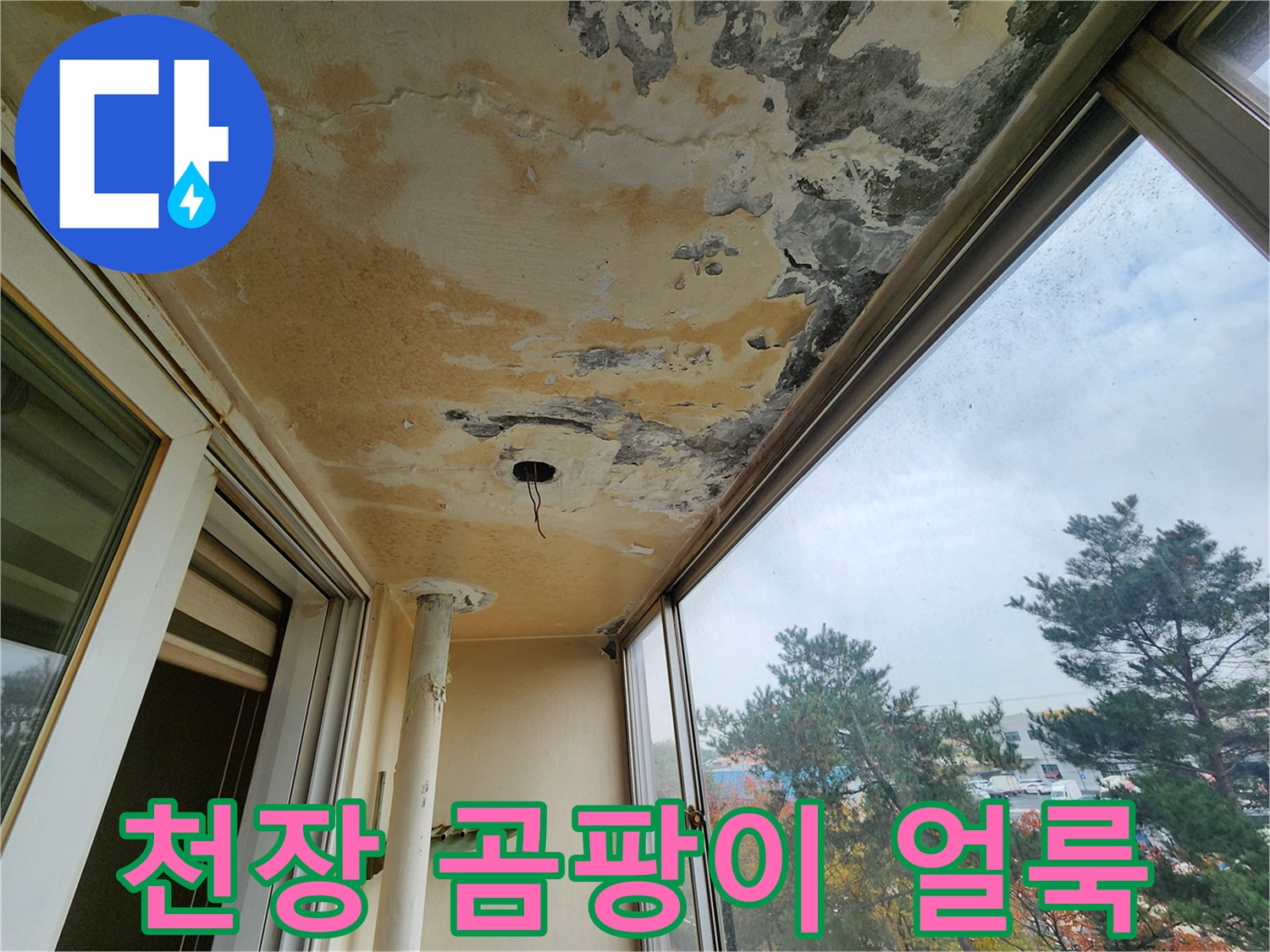 누수로 인해 오염된 베란다 천장의 곰팡이와 변색 부위