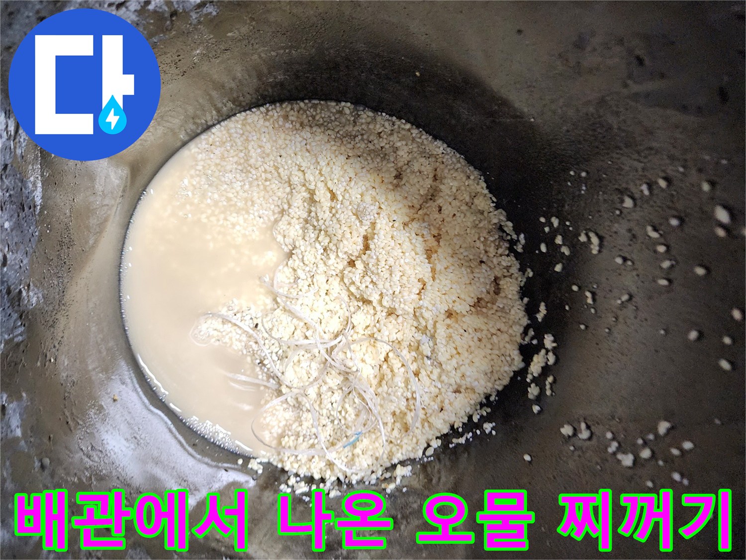 배관 세척 작업 후 수거된-탁한 물과 유지방 슬러지 덩어리