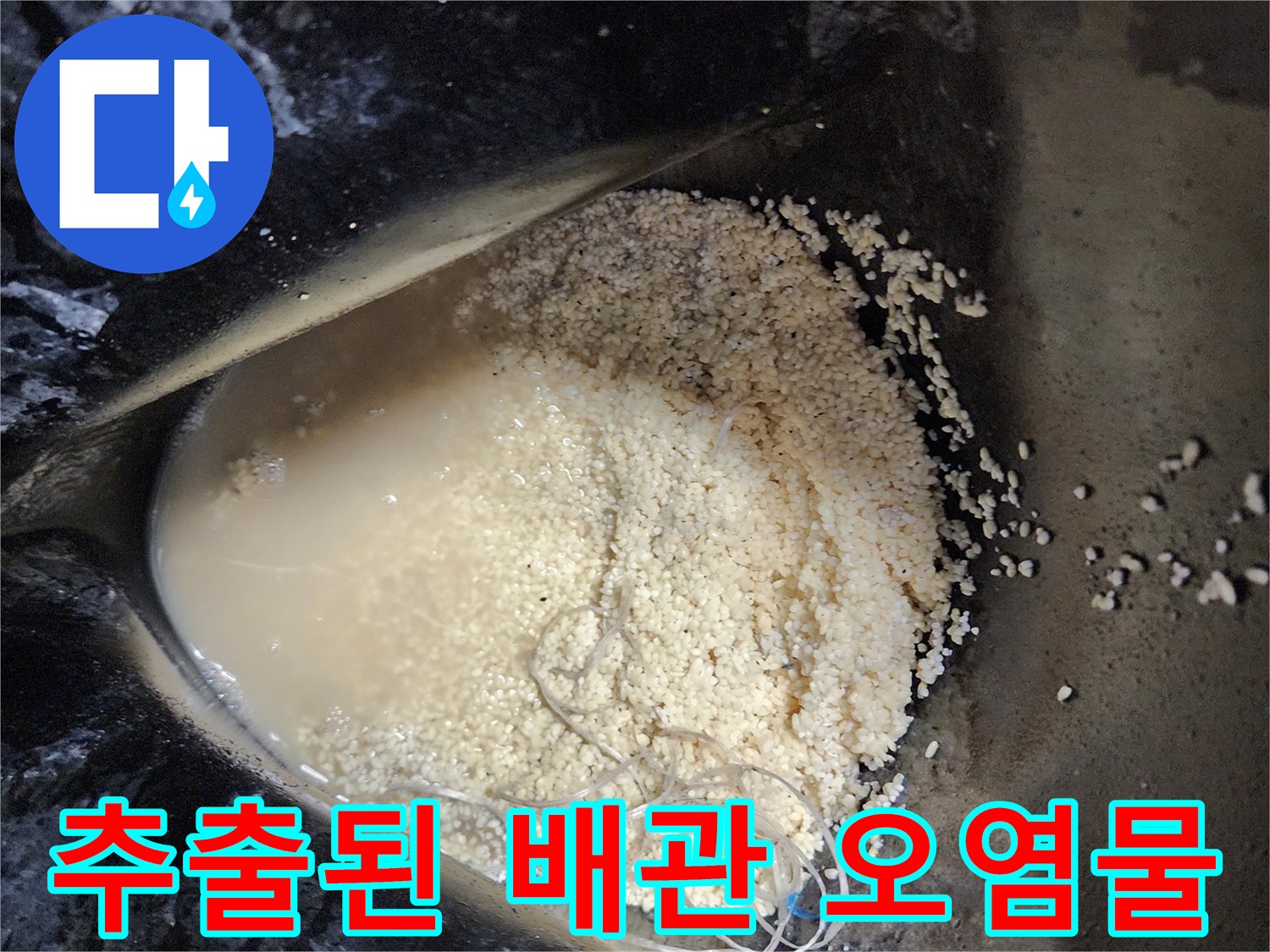 배관에서 추출된 덩어리진 유지방과 탁한 배수 오수