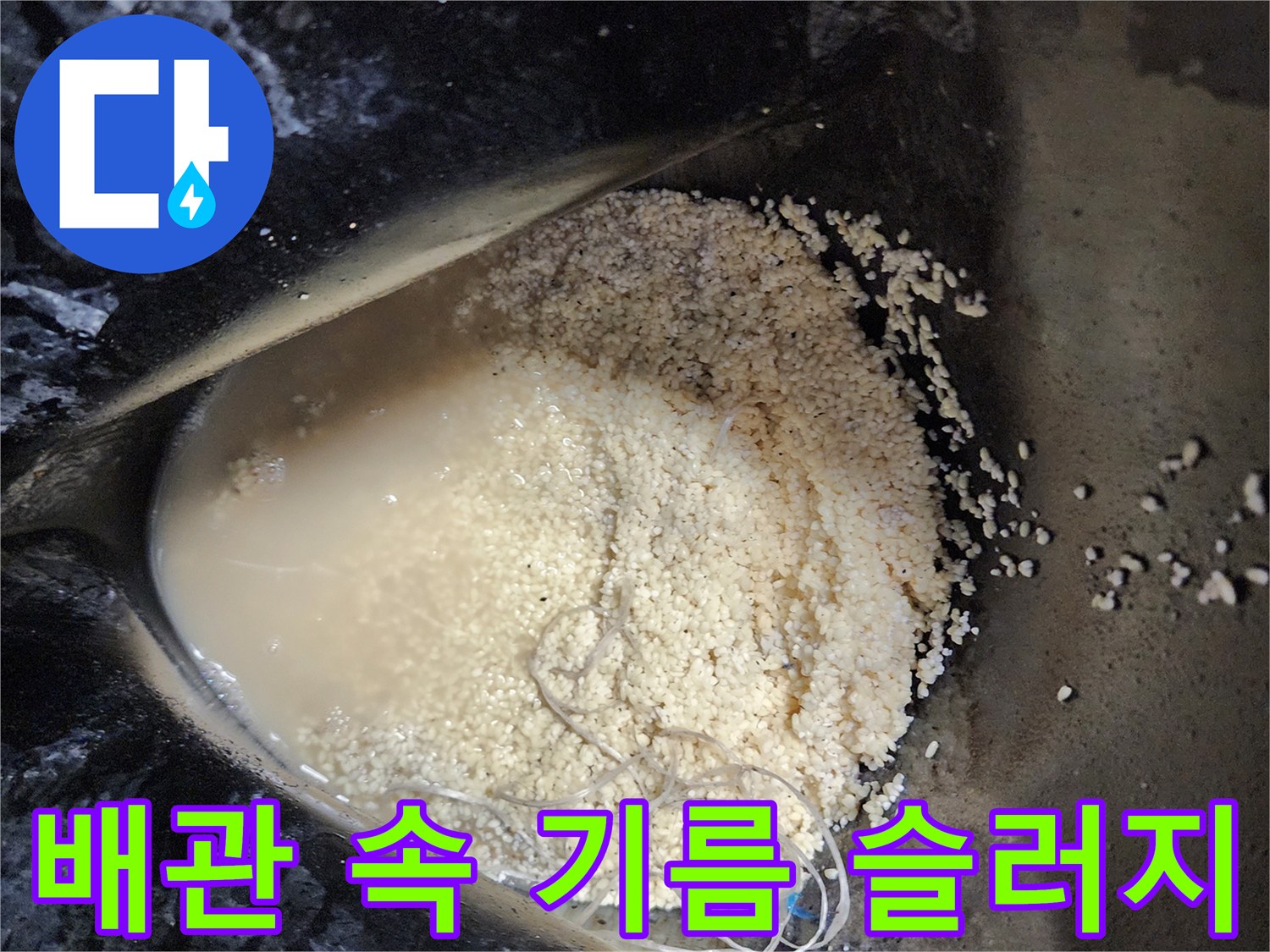석션기로 뽑아낸-걸쭉한 배수관 오물과 유지방 덩어리