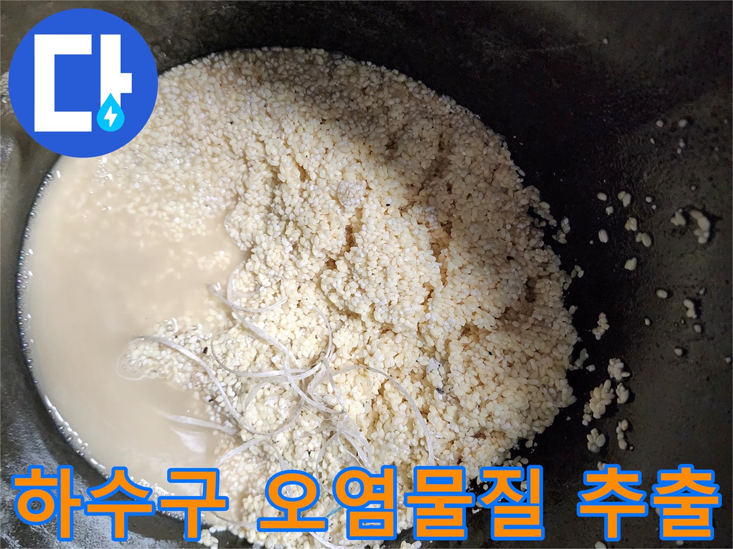 싱크대 배관 청소 중 발견된 하얀색 유지방과 탁한 액체