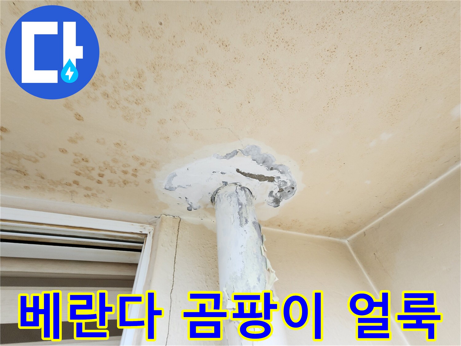 천장 전체에 퍼진 누수로 인한 곰팡이와 변색된 흔적