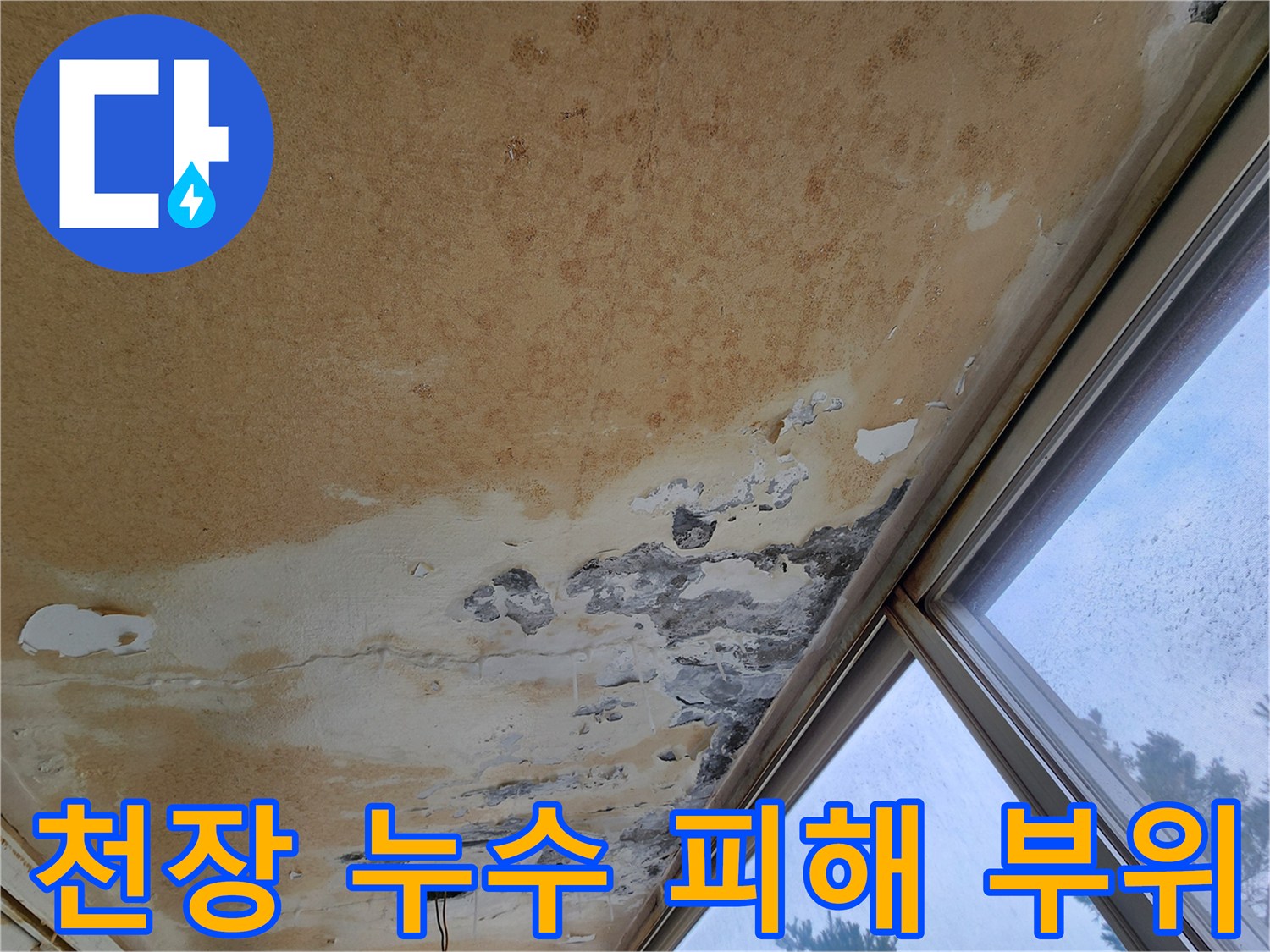 포천 영중면 현장의-누수로 인한 천장 변색과 페인트 탈락 부위 상세