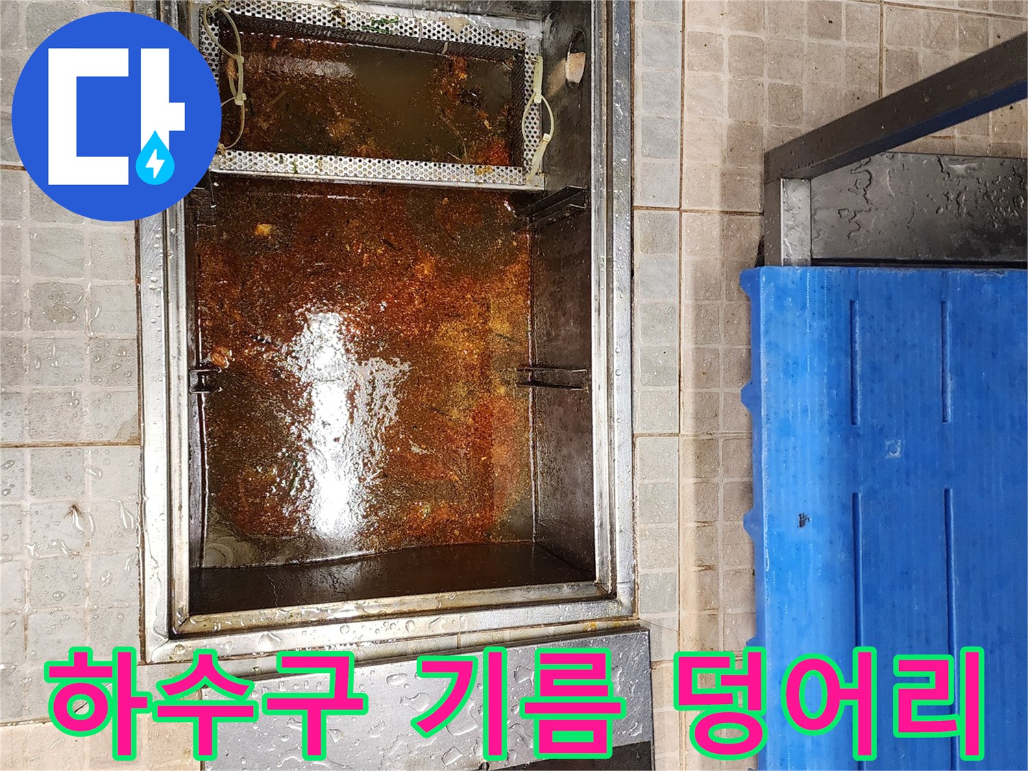 배수 트랩 내부에 퇴적된 유지방 슬러지와 오염된 배수구 모습
