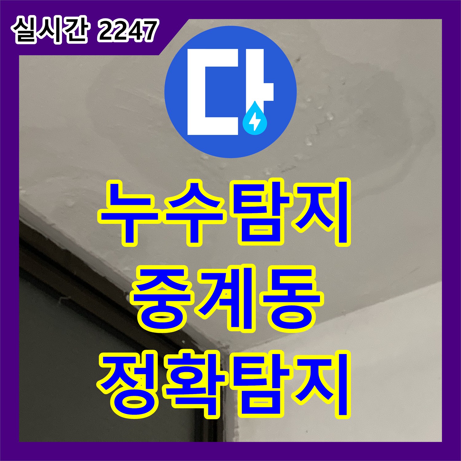 누수탐지, 아파트 화단 아래 물 고임 현상 정밀 탐지하는 중계동