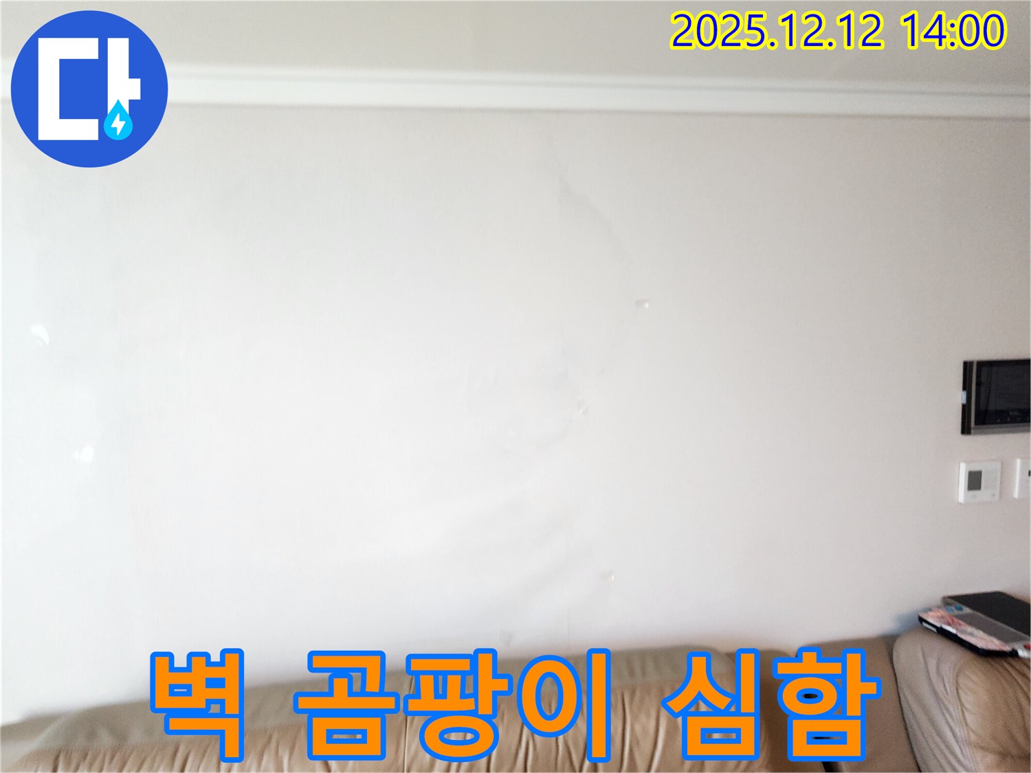 벽에 곰팡이가 심하게 핀 모습 - 포천시 영중면 후동리 누수 현장에서 벽에 곰팡이가 심하게 핀 모습입니다 - 누수 원인부터 꼼꼼하게 해결해야 합니다.