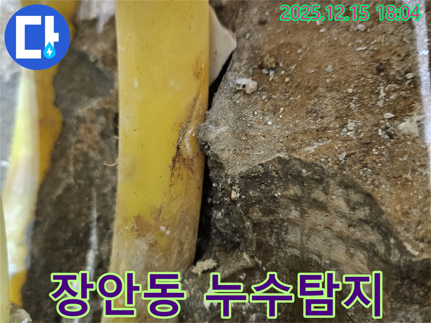 장안동 래미안장안2차 아파트 누수탐지 현장 - 노후 배관 손상으로 인한 누수 발생 지점 확인
