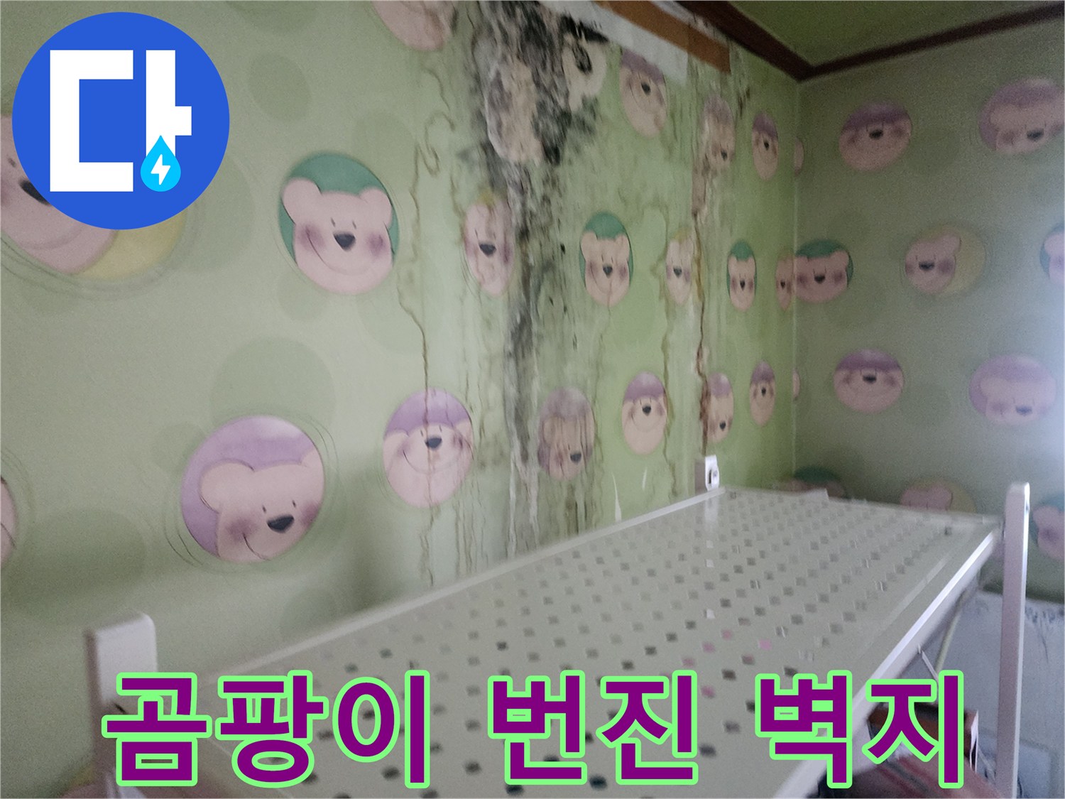 심하게-오염된-캐릭터-벽지-및-곰팡이-흔적