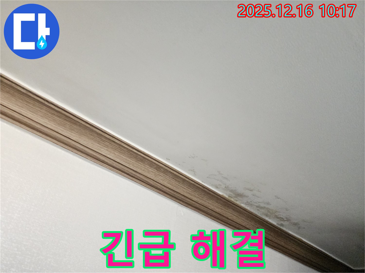 포천시 영북면 운천리 곰팡이 천장 해결 - 누수 긴급 해결 및 곰팡이 제거 과정