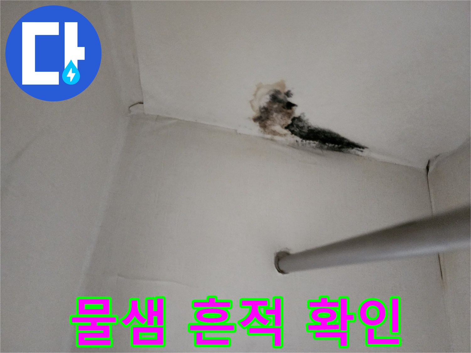천장 구석의 변색된 부분과 곰팡이 오염 상태