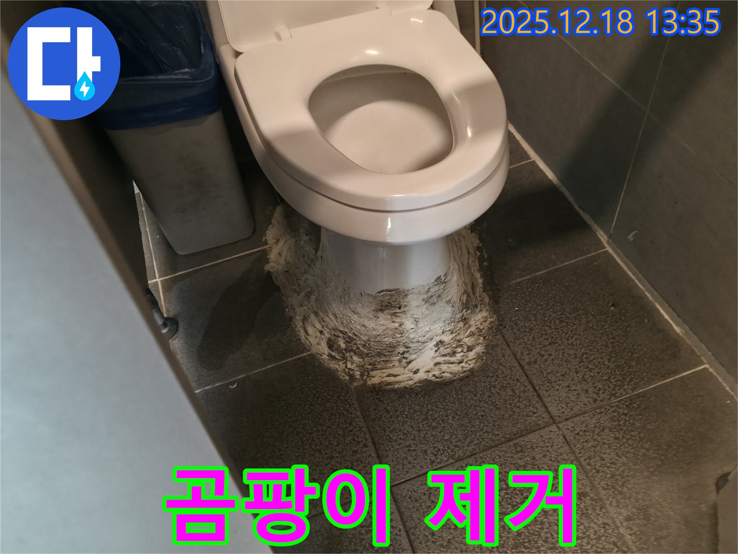 변기 주변 곰팡이 - 누수 원인 해결 후 곰팡이 제거