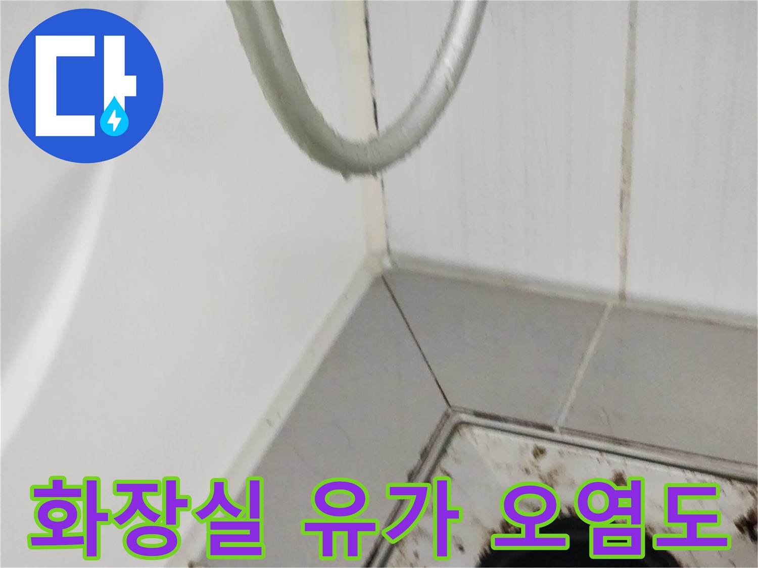 오염된 배수구 내부와 주변 타일 경계 확인