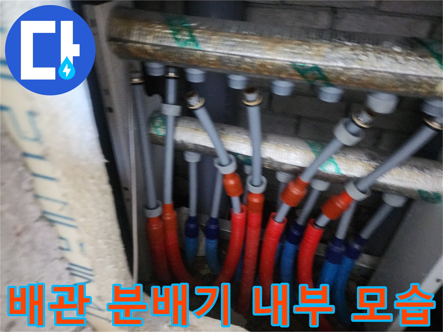 양주 삼숭동 아파트-분배기 함 내부에 연결된 빨간색과 파란색 이중관 배관의 상태