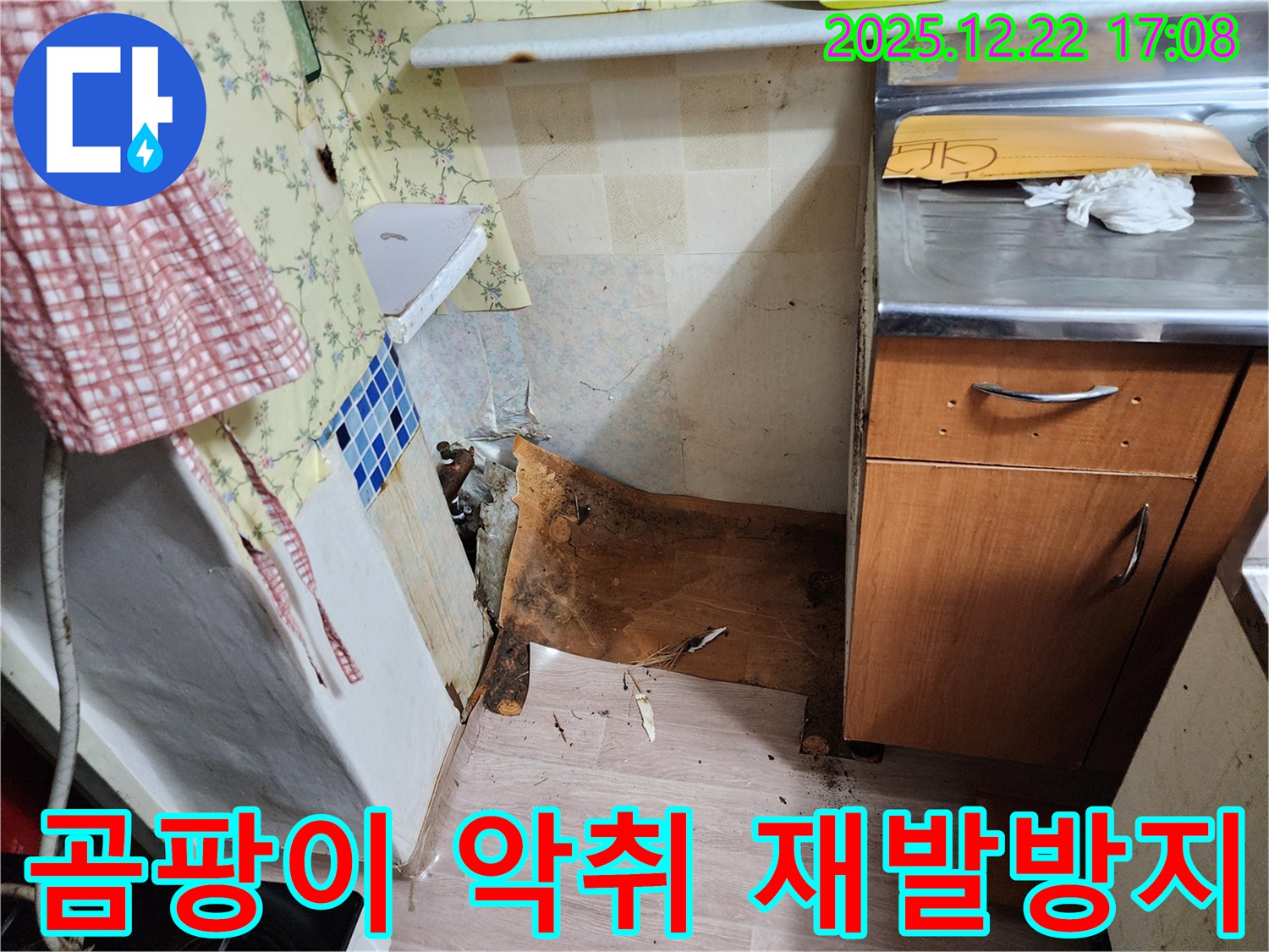 동두천 생연2동 누수 - 꼼꼼한 시공으로 곰팡이와 악취, 누수 재발을 확실하게 방지합니다 - 안심하고 맡겨주세요!