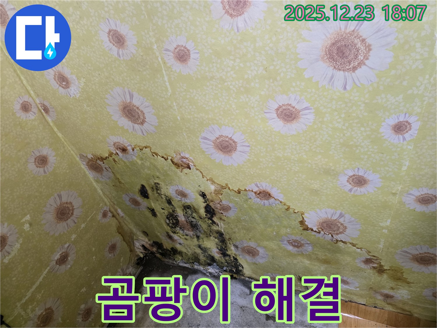 동두천 생연동 주택 벽 누수 곰팡이 해결 - 누수 원인 제거 후 깨끗해진 벽 모습 공개.