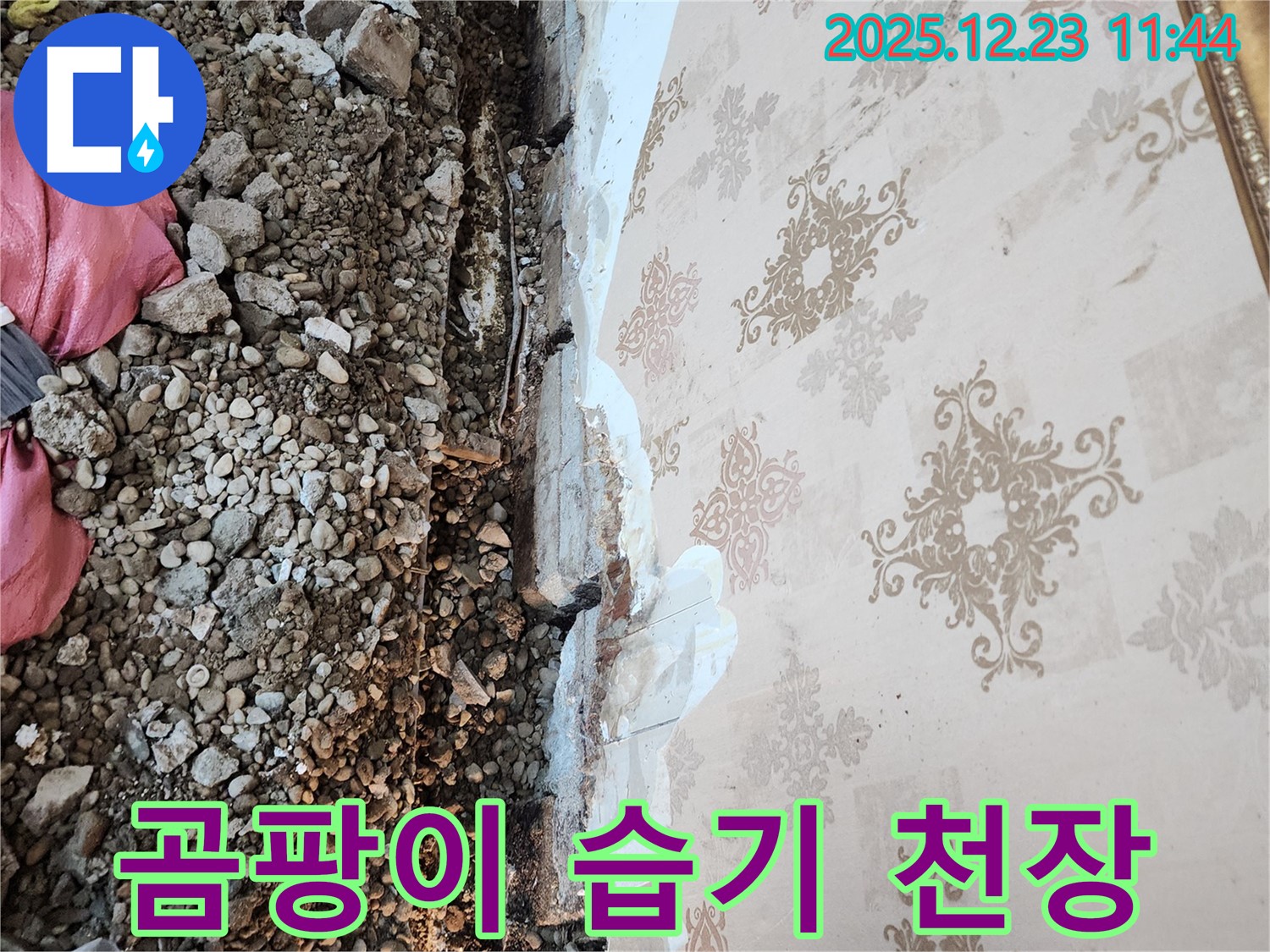 보산동 누수 - 낡은 천장재, 곰팡이와 습기로 뒤덮여 있습니다.