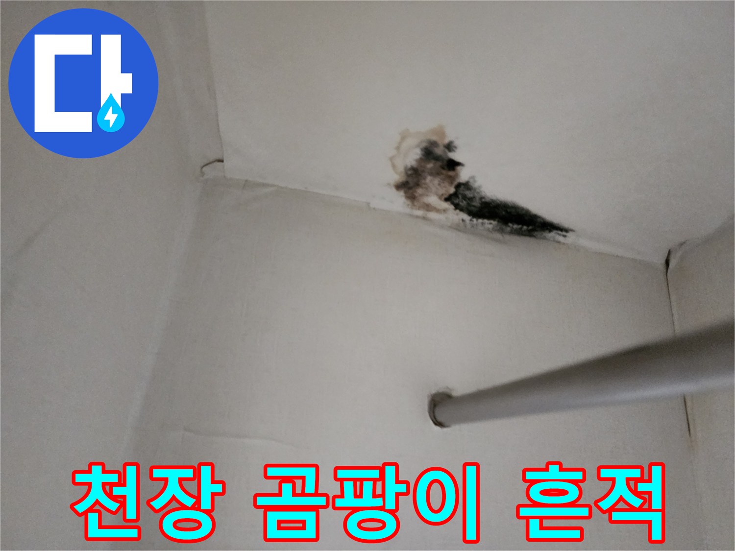 누수 피해로 인한 천장 벽지의 곰팡이와 얼룩