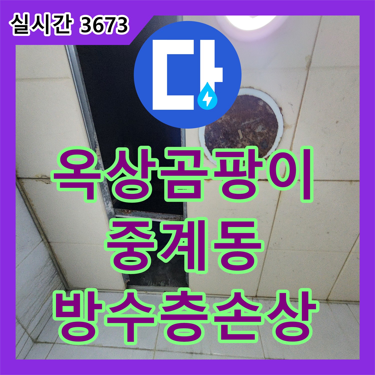 누수탐지, 중계동 옥상 곰팡이와 이끼! 방수층 손상 및 누수 유발