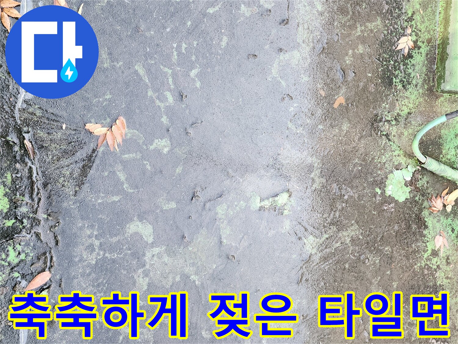 물기로 인해 얼룩진 바닥 타일과 부식된 벽체 경계