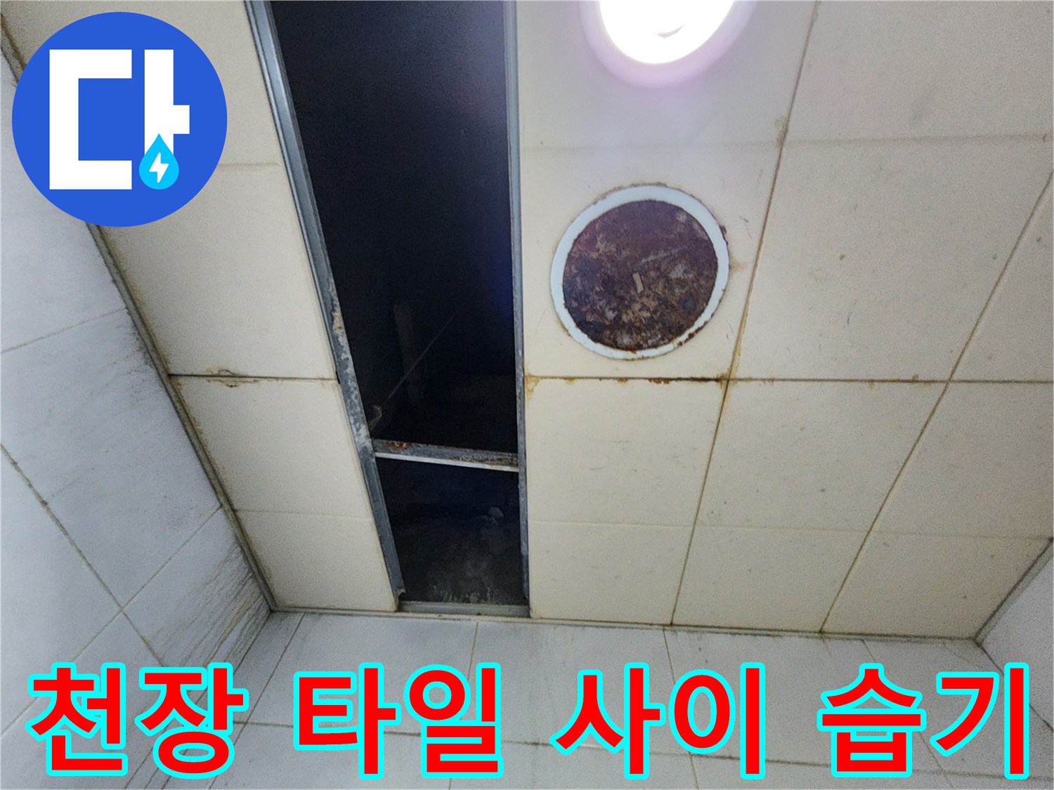 주방 천장 타일 사이로 보이는 어두운 틈과 얼룩진 점검구 상태