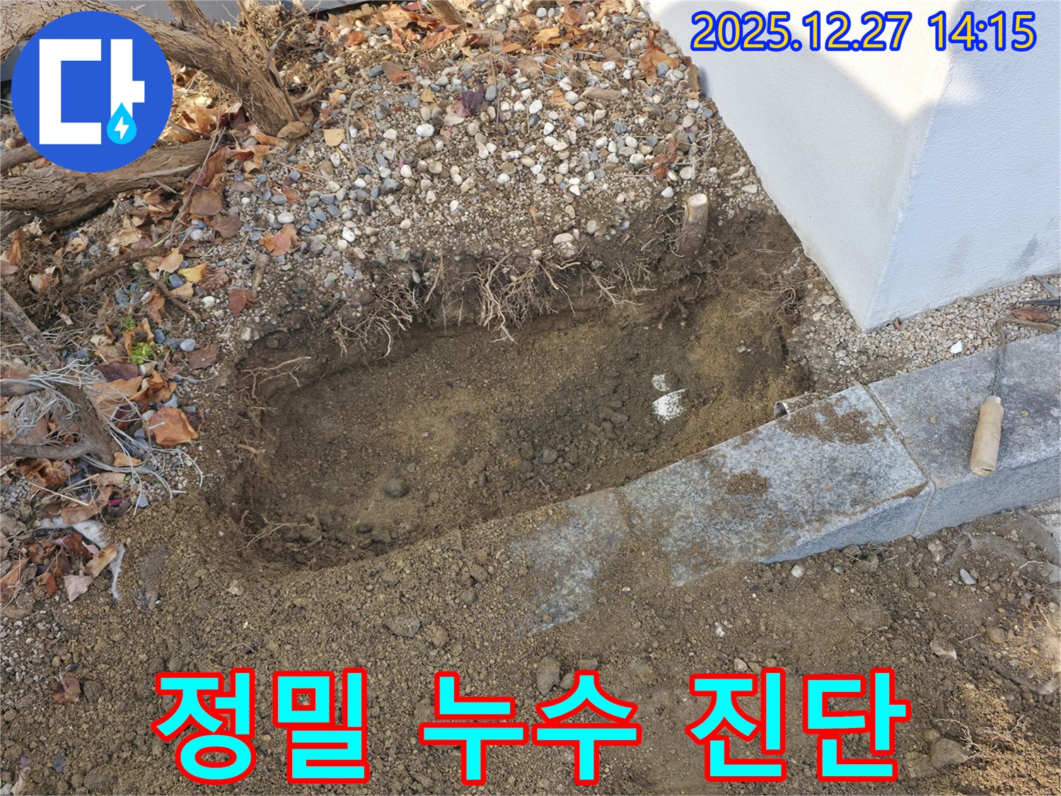 정밀 누수 진단 - 땅을 파서 배관 상태를 확인하고 누수 여부를 꼼꼼히 점검하고 있습니다.