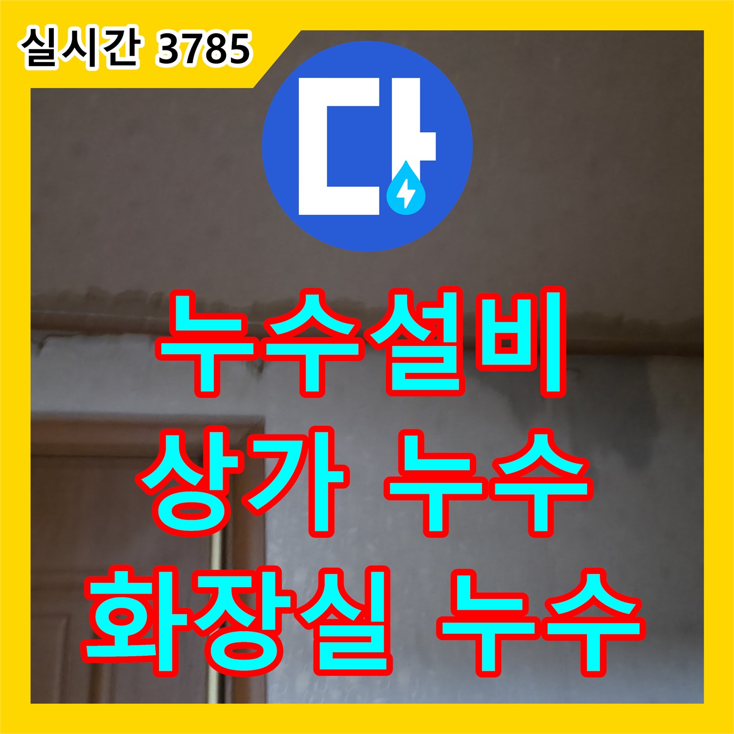 누수설비업체, 마두동 상가 화장실 누수 해결!